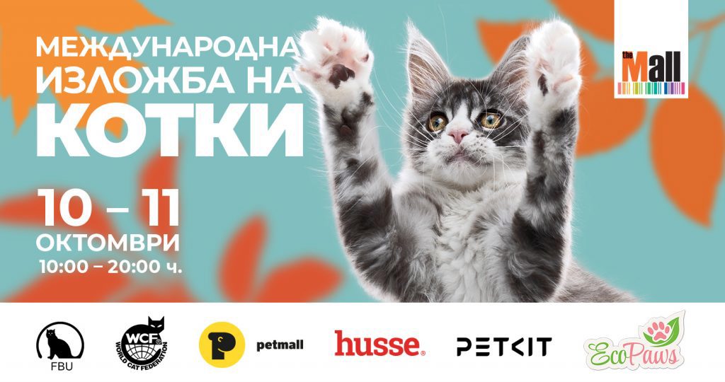 Международна изложба на котки в The Mall